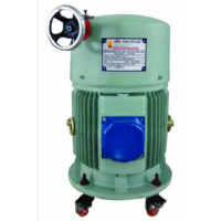 Induction Regulator